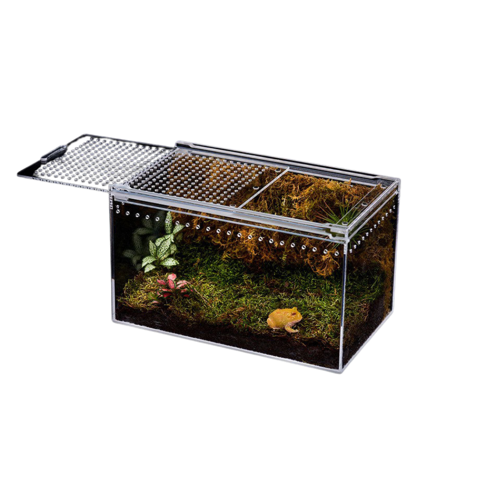 Acrylic Insect & Reptile Terrarium —— YOCO-002