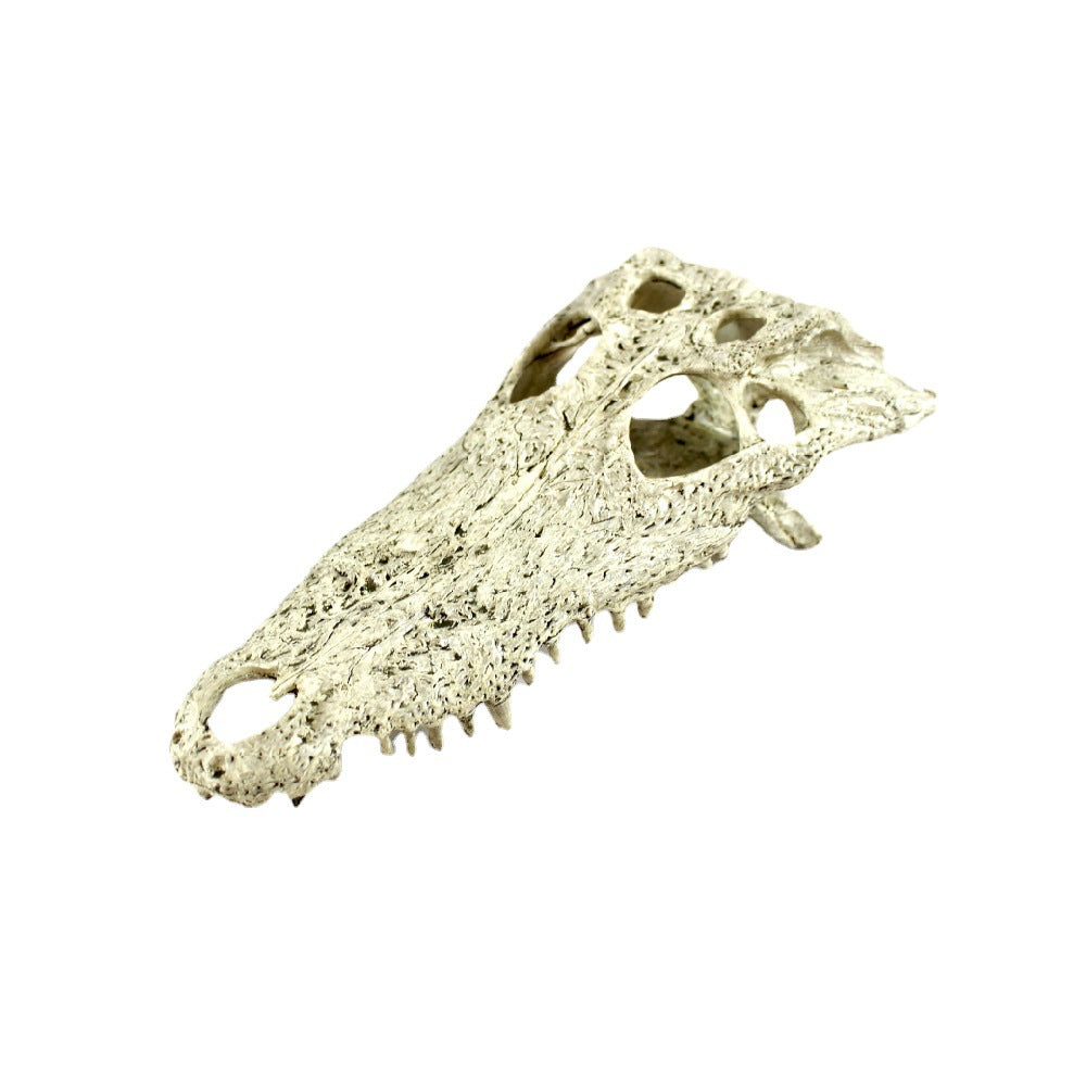 Crocodile Skull Resin Landscaping