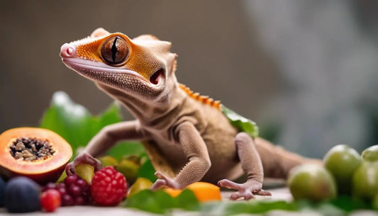 What Does A Crested Gecko Eat? Treats For Your Gecko