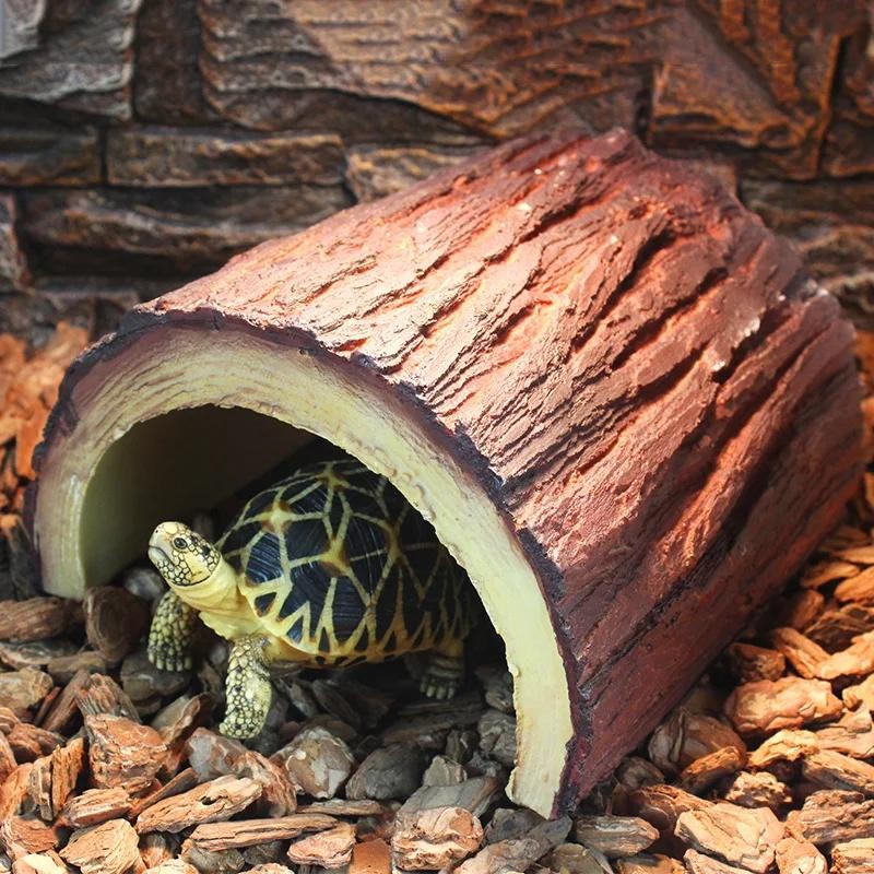 Tortoise
