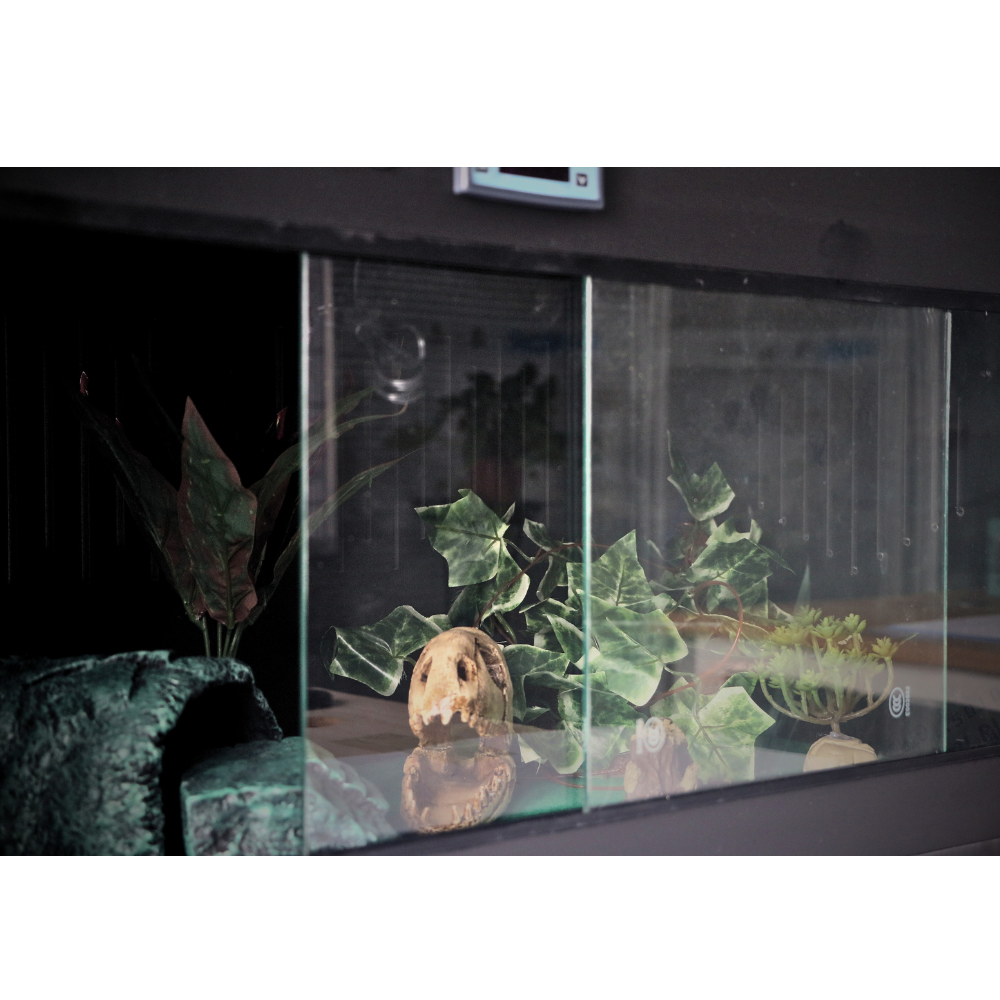 120 Gallon Bearded Dragon Enclosure 80*40*40CM — YRT-80