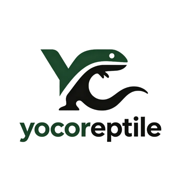 Yoco Reptile Home
