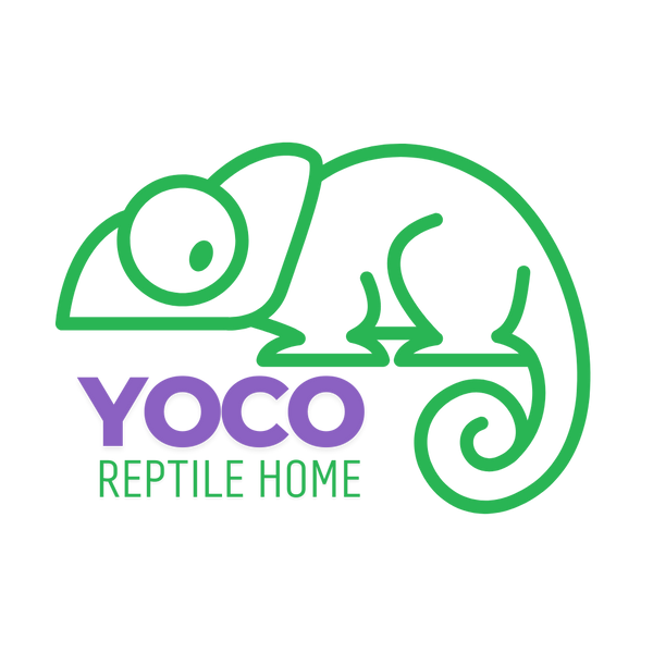 reptileshome
