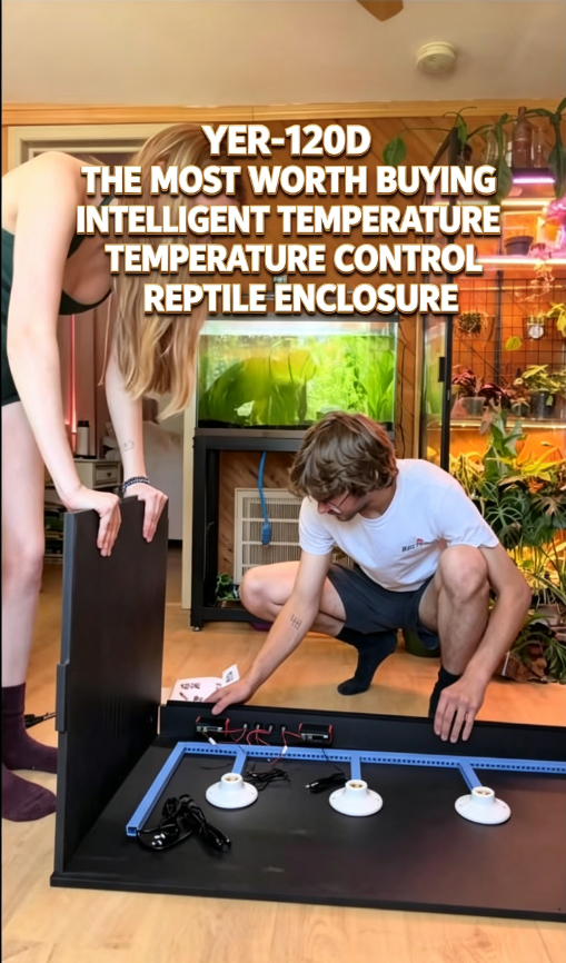 Video poster