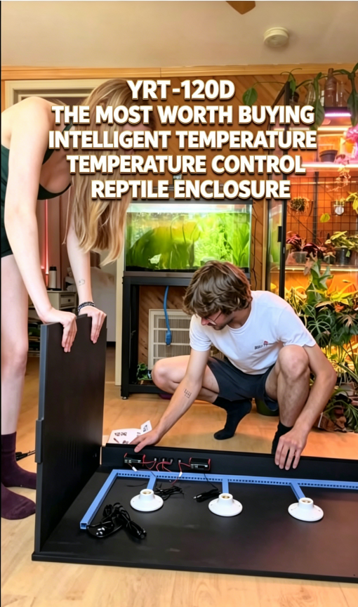 Video poster