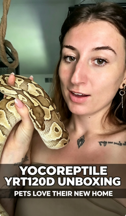 Video poster